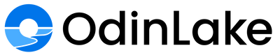 OdinLake · 人体工学椅
